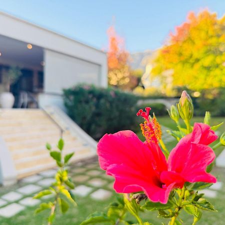 Residence Vive La Vie Franschhoek Ngoại thất bức ảnh