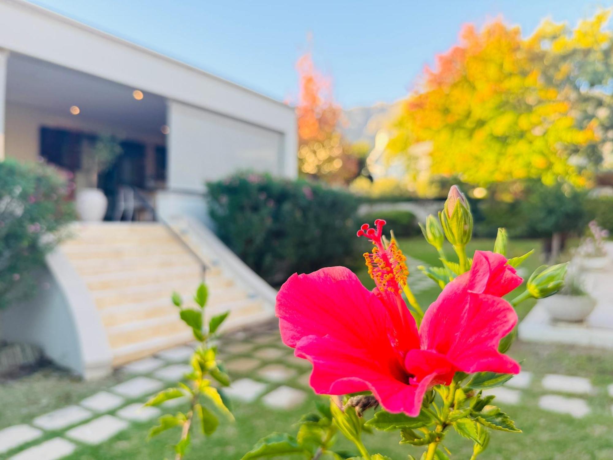 Residence Vive La Vie Franschhoek Ngoại thất bức ảnh